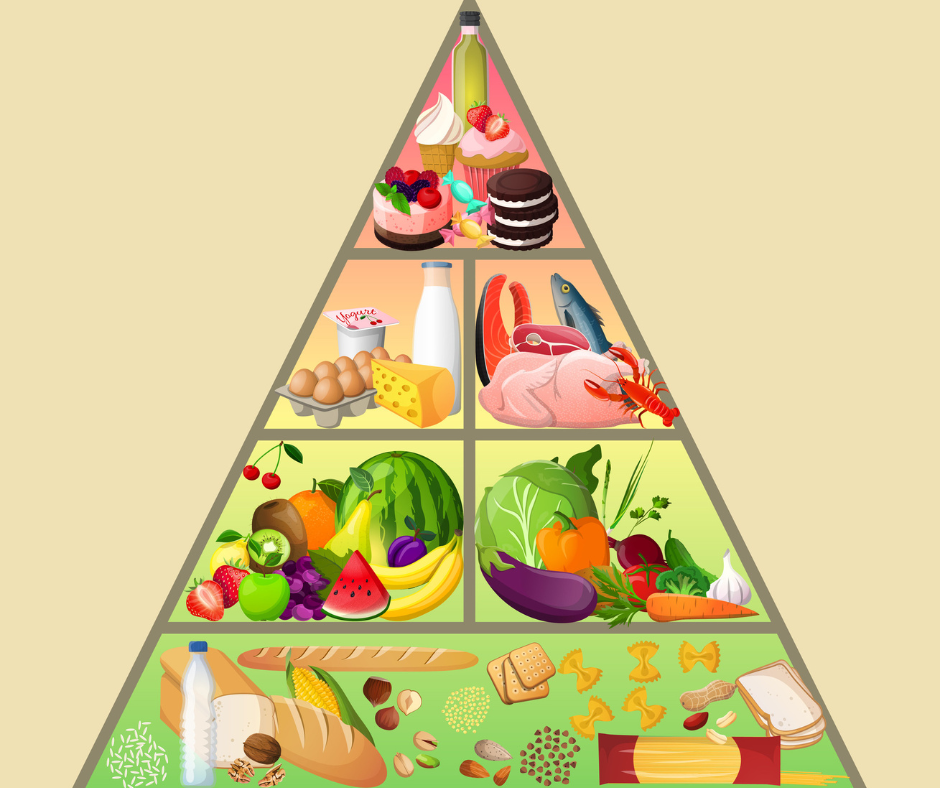 Dieta: ¿Qué es el Plato de Harvard y por qué puede destronar a la pirámide  de alimentos?